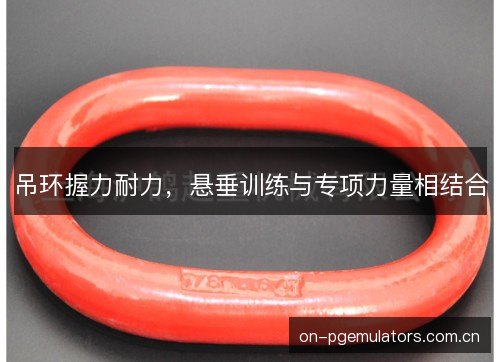 吊环握力耐力，悬垂训练与专项力量相结合